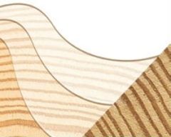 Okno dachowe FAKRO FTW-V U5 - dwukrotne lakierowanie