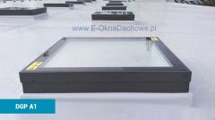 Moduł Okpol DGP A1