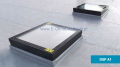 Moduł Okpol DGP A1