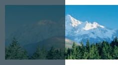 Markiza zewnętrzna FAKRO AMZ Komfort prześwit 1%